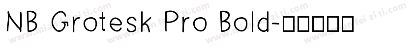 NB Grotesk Pro Bold字体转换